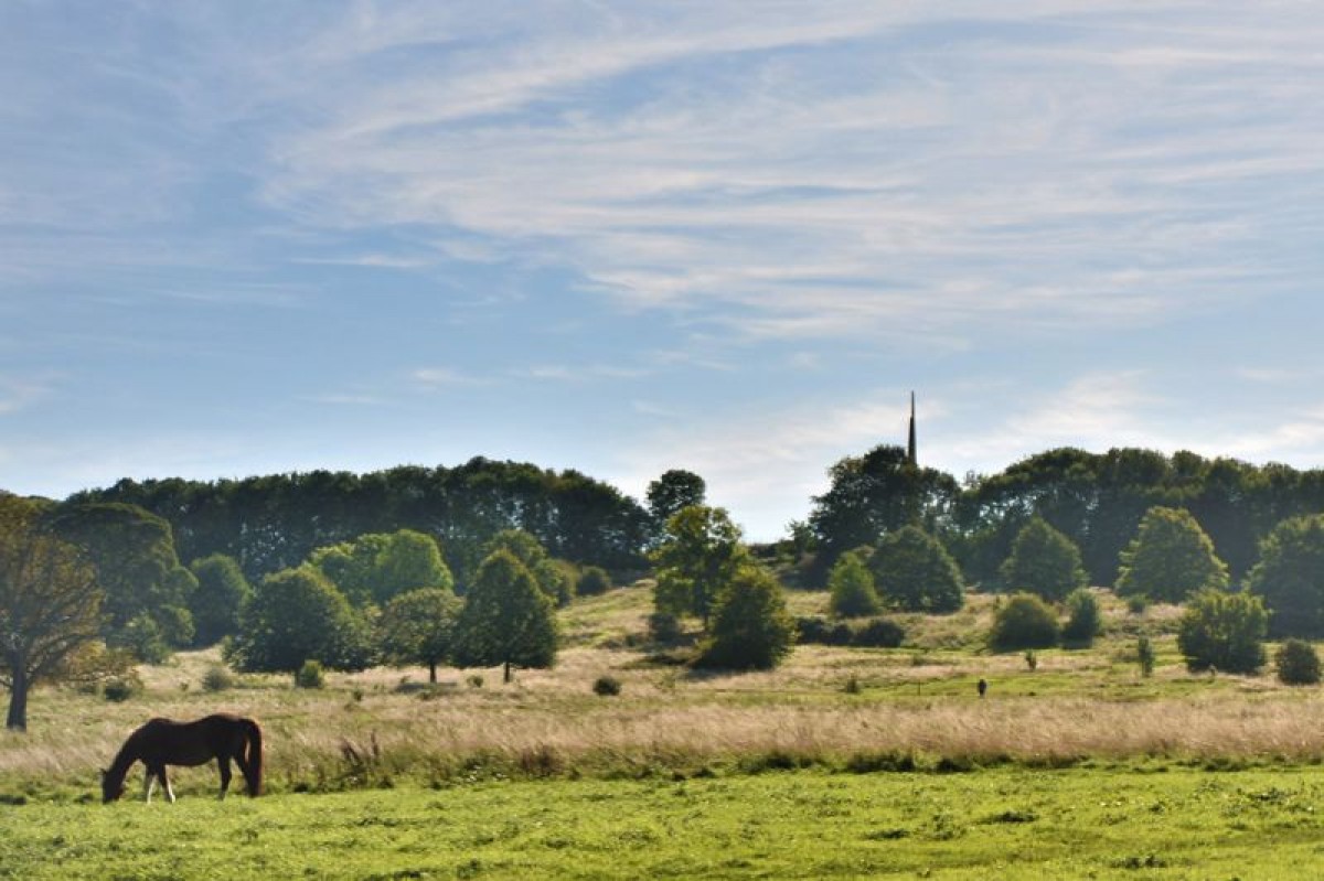 Images for Canwick Villa, South Park, Lincoln