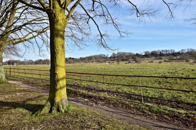 Images for South Park, Lincoln EAID:Starkey & Brown Scunthorpe BID:Starkey&Brown Lincoln