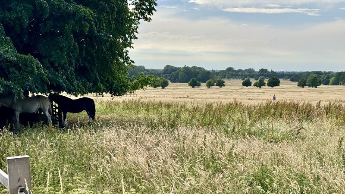 Images for Queens Crescent, Lincoln