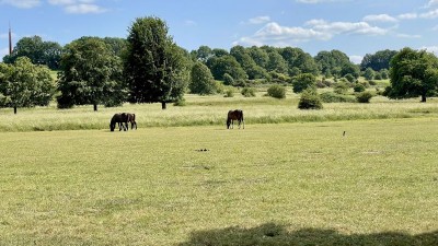 Images for Canwick Villa, South Park, Lincoln EAID:Starkey & Brown Scunthorpe BID:Starkey&Brown Lincoln