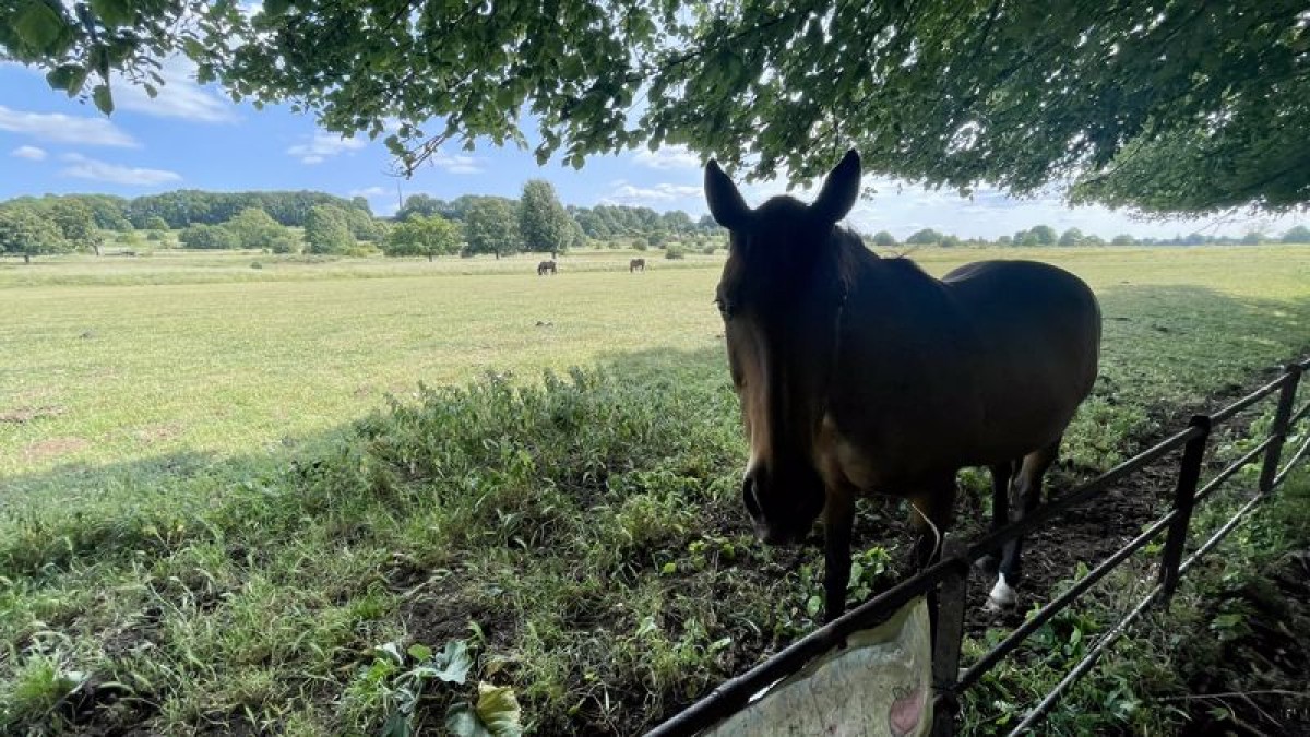 Images for Canwick Villa, South Park, Lincoln