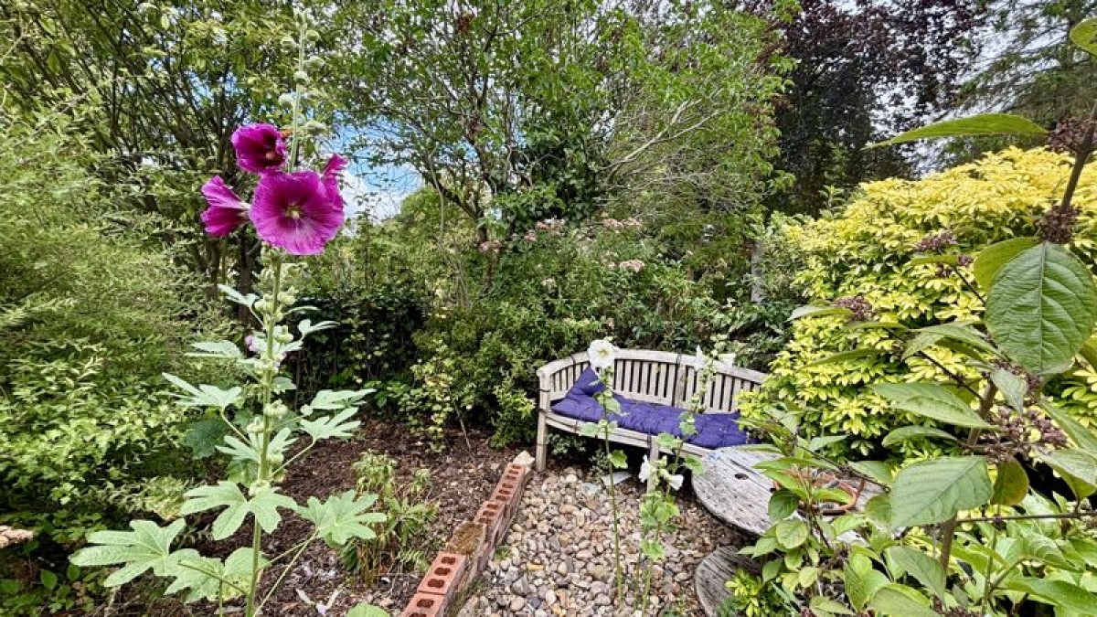 Images for Widows Row, Hackthorn, Lincoln