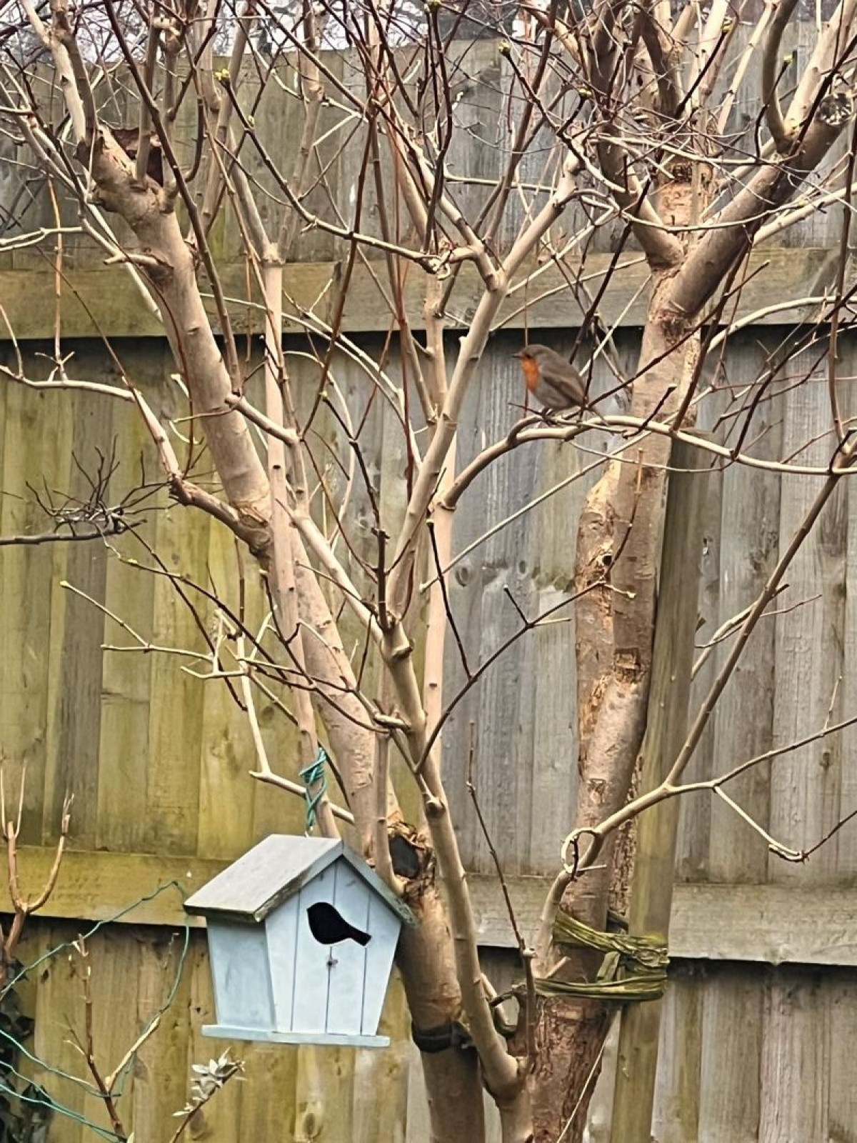 Images for Tudor Road, Doddington Park, Lincoln