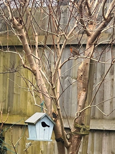 Images for Tudor Road, Doddington Park, Lincoln EAID:Starkey & Brown Scunthorpe BID:Starkey&Brown Lincoln