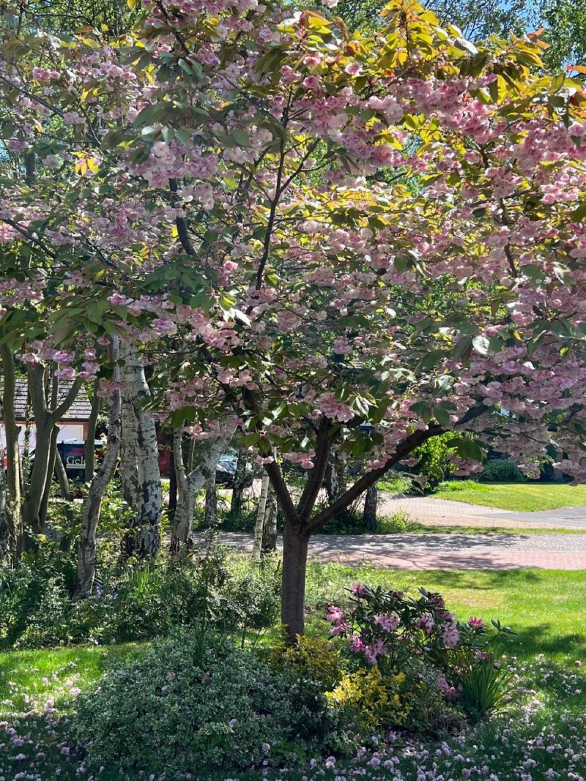Images for Tudor Road, Doddington Park, Lincoln