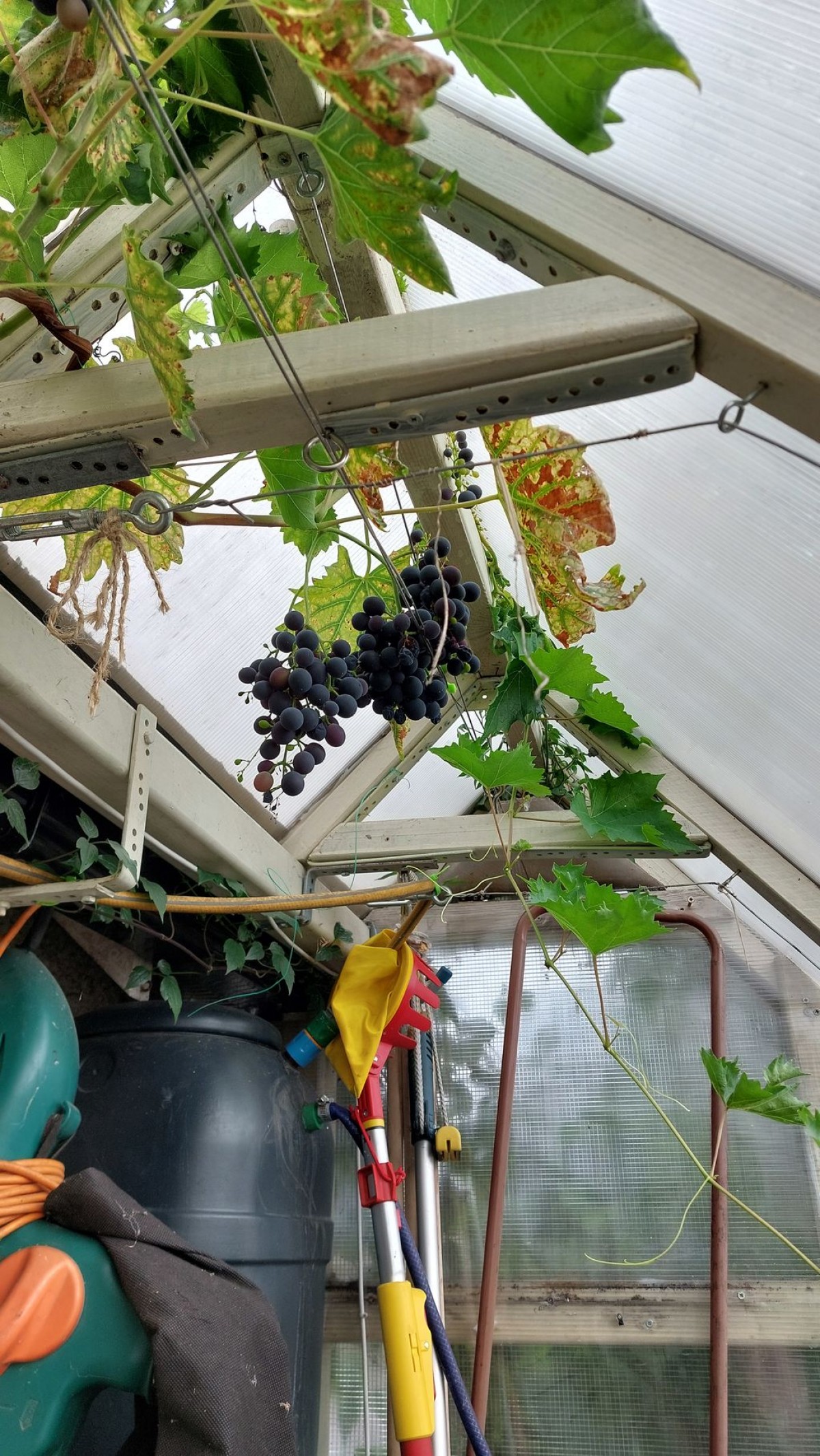 Images for Old Brumby Street, Scunthorpe