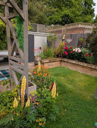 Images for Foxglove Road, Market Rasen EAID:Starkey & Brown Scunthorpe BID:Starkey&Brown Lincoln