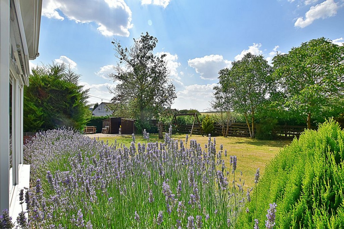 Images for Walnut House, Hallams Lane, Timberland
