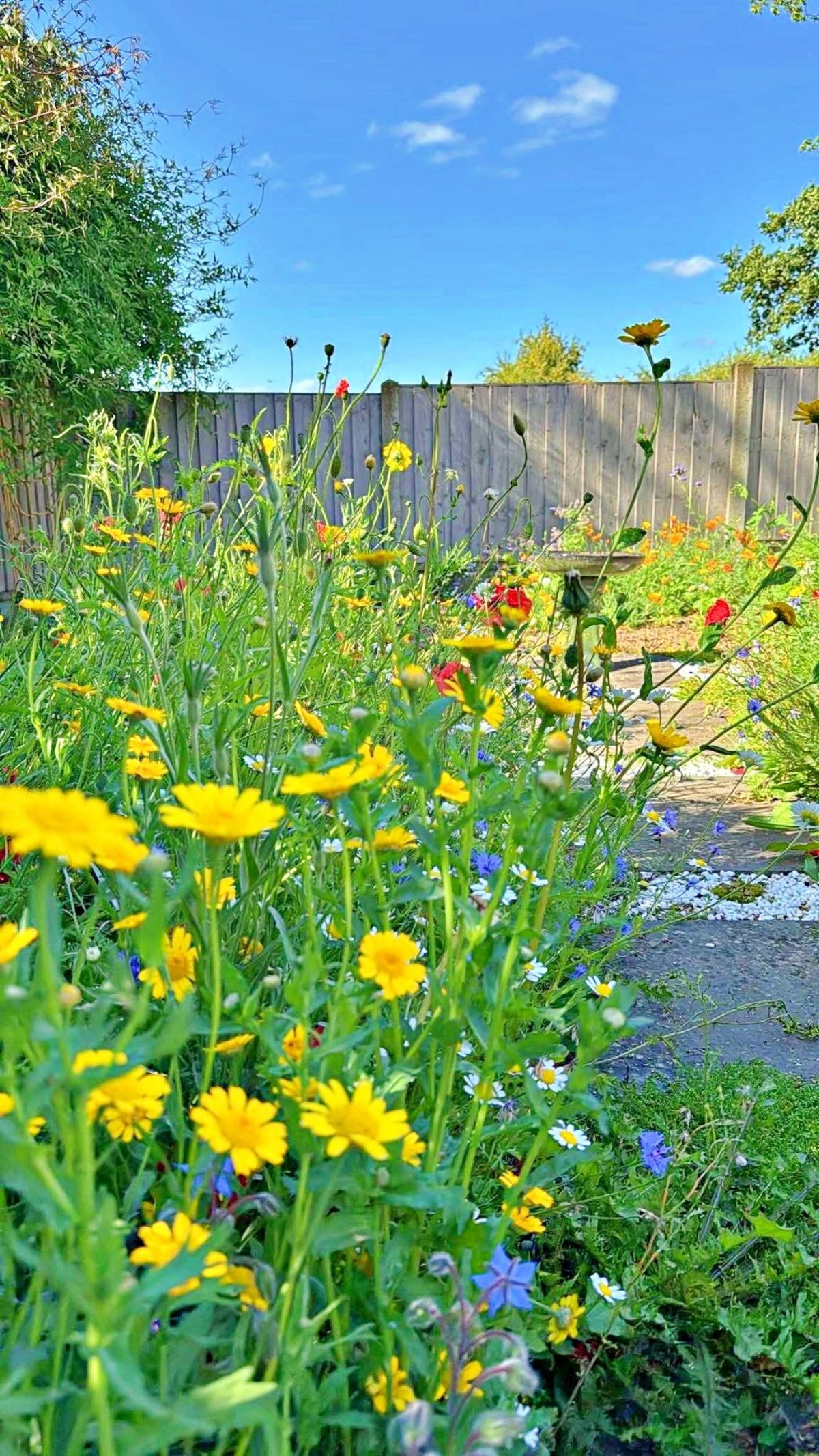 Images for Underhill Cottage, High Street, Scampton