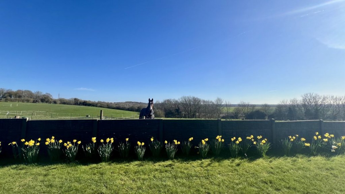 Images for Stather Road, Flixborough