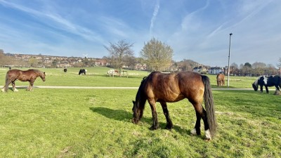 Images for West Parade, Lincoln EAID:Starkey & Brown Scunthorpe BID:Starkey&Brown Lincoln