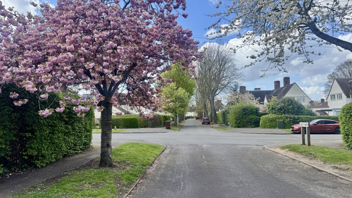 Images for Cherry Grove, Swanpool, Lincoln