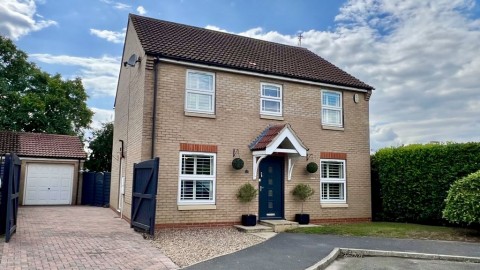 Johnson Drive, Scotter