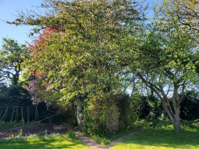 Images for Broadway Close, Uphill, Lincoln EAID:Starkey & Brown Scunthorpe BID:Starkey&Brown Lincoln