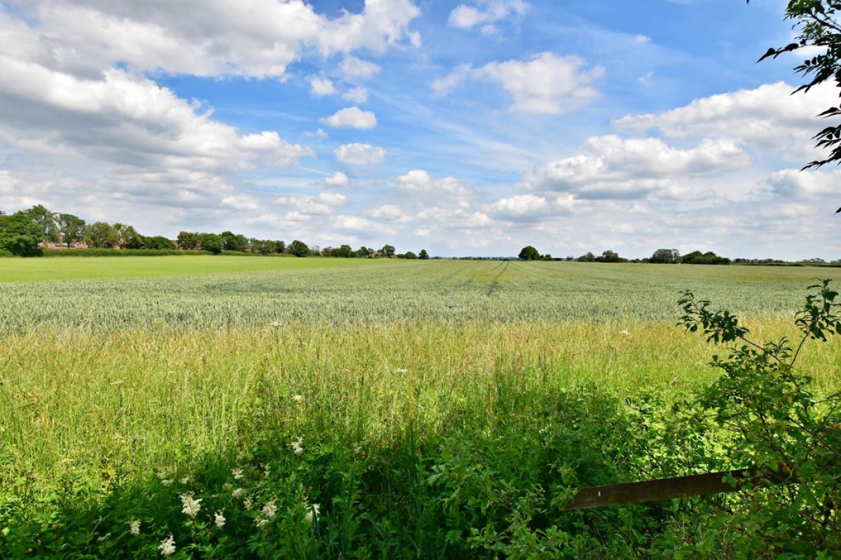 Images for Thyme Walk, Witham St. Hughs, Lincoln