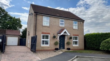 Johnson Drive, Scotter
